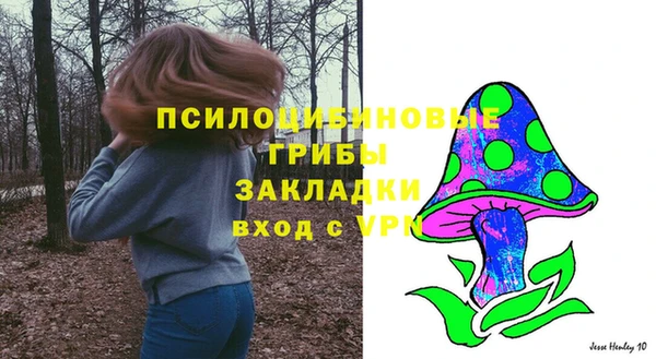 mix Алексин